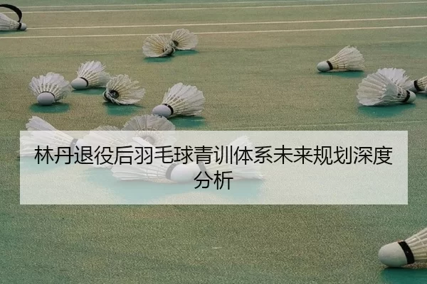 林丹退役后羽毛球青训体系未来规划深度分析
